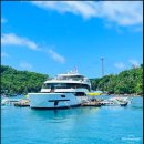 섬과 하루 이미지