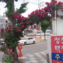 군분로 네이버블로그