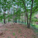 강릉 노추산 힐링캠프 이미지