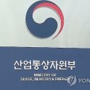 알로앤루 이미지