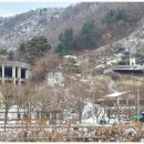 강변의 숲속 이미지