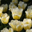 공감심리상담. 행정사. 인력사무소 이미지