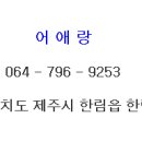 어애랑 이미지
