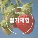 영천우리농장 이미지