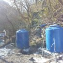 금계식당 이미지