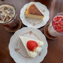 웜브리즈 이미지