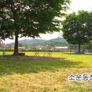 아이엠독 Daum카페
