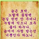 고매 이미지