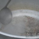 순창밥상 이미지