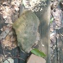 오창 서림산성 이미지