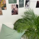 오아오아 이미지