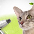 봄빛동물병원 이미지