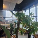 카페(cafe)732 네이버블로그
