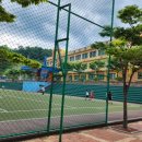 남호초등학교 이미지