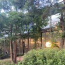 청계산 맛집 의왕 청계산 장어 맛집 청계대청마루 복날 음식으로 추천