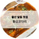 황금코다리달동점 이미지