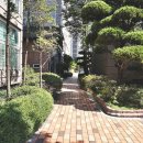 e편한플러스공인중개사사무소 이미지