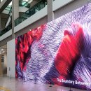 부산광역시청 이미지