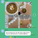 더선우유치원 | 댕글마을 • 사천 강아지 호텔링 / 남해 여행 강아지 호텔링 내돈내산 🐾 ( 유치원 , 놀이방 운영 )