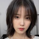 아이유헤어 | 태연 아이유 힙한 단발 허쉬컷 헤어스타일, 광대 턱고민에 추천!