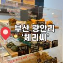 체리애견 | 부산 광안 카페 디저트 맛집 애견 동반 가능한 체리씨