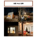 담애 이미지