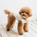 비커밍스튜디오 이미지