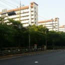 강남-288 이미지