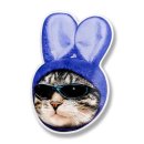 스마트캣 이미지