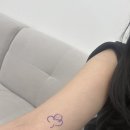 찬스성인나이트(찬스나이트클럽) 이미지