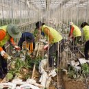 최정식농장 이미지