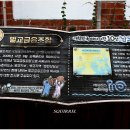 벌교금융조합 Daum카페