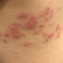 상동의원 이미지