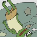 더(the)예쁜속눈썹