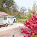 별빛하늘 펜션 이미지