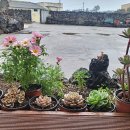 브니엘하우스 이미지