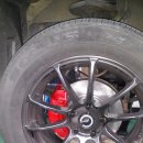 오렌지카 이미지