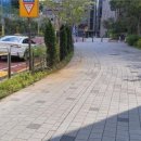 여의대방로35길 이미지