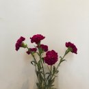 플라워맨카페(flower man cafe) 이미지