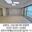 천진부동산중개사무소 네이버블로그