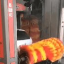 댕댕이 목욕탕 이미지