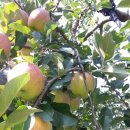 해풍농장 이미지