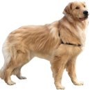 이곡생수공원 이미지