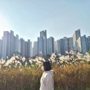 백수치과의원 이미지