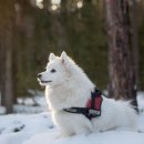 홈종합동물병원 이미지