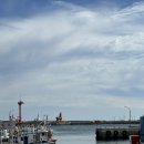 제주도서핑,제주서핑,제주 공항 근처 서핑강습, 이호해수욕장서핑, 바구스서핑스쿨이호에서 서핑강습...