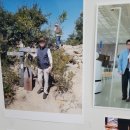 6-208 TS | 캐논 포토프린터 TS8290. 사진 화질과 후기, 2023 08