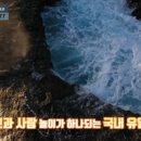 울산테마파크