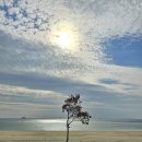 소록도병원 중앙공원(1층) | [고흥여행] 소록도 &amp; 거금도 둘러보기!