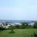 바다파파 이미지